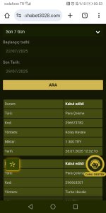 Screenshot_20250729_005318_com.android.chrome.jpg