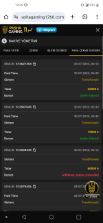 Screenshot_20250730-120932.png