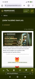 Screenshot_2025-07-31-01-01-54-048_com.android.chrome.jpg