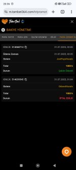 Screenshot_2025-07-31-20-36-26-583_com.android.chrome.jpg