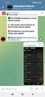 Screenshot_2025-08-01-15-17-18-580_org.telegram.messenger.web.jpg
