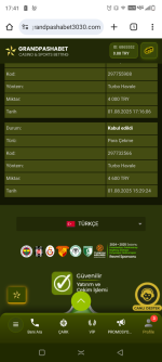 Screenshot_20250801-174131.png
