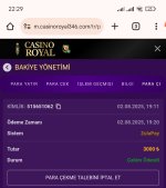 Screenshot_2025-08-02-22-29-28-082_com.android.chrome-edit.jpg