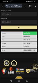 Screenshot_20250806_022635_com.android.chrome.jpg