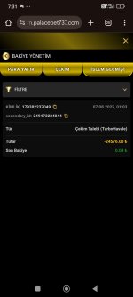 Screenshot_2025-08-07-07-31-28-061_com.android.chrome.jpg