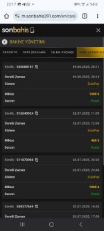 Screenshot_20250810_221711_Chrome.jpg