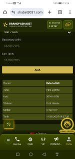 Screenshot_20250811_132608_com.android.chrome.jpg
