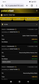 Screenshot_2025-08-11-16-11-29-012_com.android.chrome.jpg