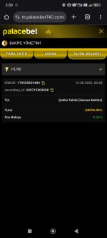Screenshot_2025-08-12-02-33-53-810_com.android.chrome.jpg