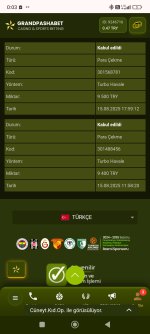 Screenshot_2025-08-16-00-03-40-151_com.android.chrome.jpg