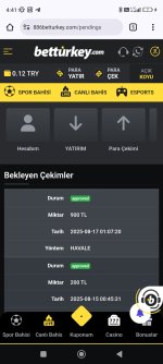 Screenshot_2025-08-17-04-41-57-985_com.android.chrome.jpg