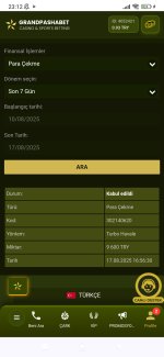 Screenshot_2025-08-17-23-12-51-535_com.android.chrome.jpg