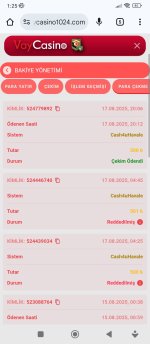 Screenshot_2025-08-18-01-25-04-124_com.android.chrome.jpg