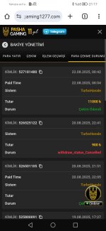 Screenshot_20250822_211740_com.android.chrome.jpg