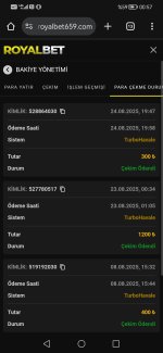 Screenshot_20250825_005723_com.android.chrome.jpg