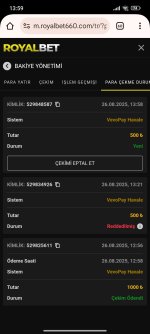 Screenshot_2025-08-26-13-59-07-431_com.android.chrome.jpg