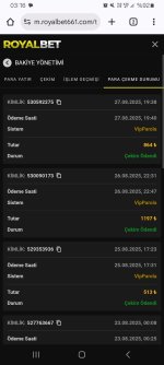 Screenshot_20250828_031611_Chrome.jpg
