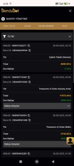 Screenshot_2025-08-28-05-25-34-638_com.android.chrome.jpg