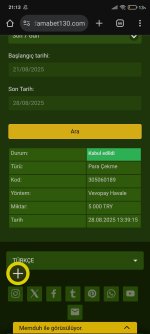 Screenshot_2025-08-28-21-13-18-347_com.android.chrome.jpg