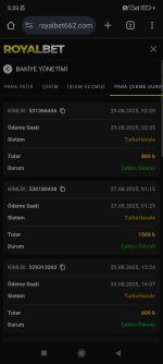 Screenshot_2025-08-29-05-33-46-560_com.android.chrome.jpg