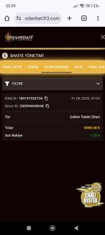 Screenshot_2025-08-31-23-29-06-449_com.android.chrome.jpg