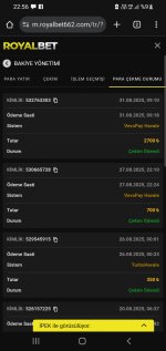 Screenshot_20250901-225654_Chrome.jpg