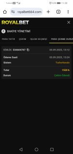 Screenshot_20250904_113007_com.android.chrome.jpg
