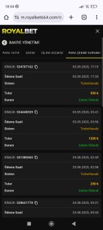 Screenshot_2025-09-04-18-54-08-557_com.android.chrome.jpg
