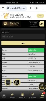 Screenshot_20250905_021948_com.android.chrome.jpg