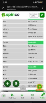 Screenshot_2025-09-06-21-52-01-582_com.android.chrome.jpg