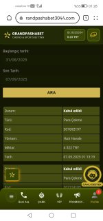 Screenshot_20250907_012830_com.huawei.browser.jpg