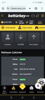 Screenshot_20250908-023126.jpg