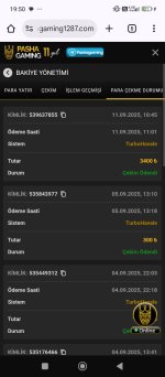 Screenshot_2025-09-11-19-50-45-195_com.android.chrome.jpg