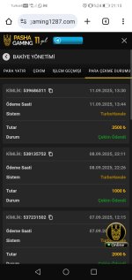 Screenshot_20250911_211336_com.android.chrome.jpg
