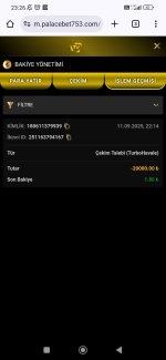 Screenshot_2025-09-11-23-26-19-320_com.android.chrome.jpg