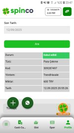 Screenshot_20250912-234711_Chrome.jpg