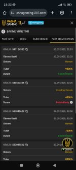 Screenshot_2025-09-13-23-33-57-632_com.android.chrome.jpg