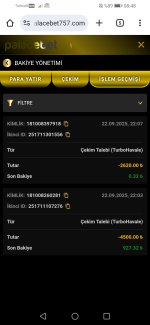 Screenshot_20250923_084806_com.android.chrome.jpg