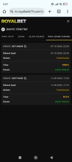 Screenshot_2025-10-08-00-47-39-028_com.android.chrome.jpg