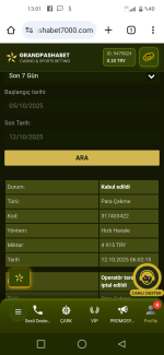 Screenshot_20251012-130200.png