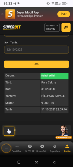 Screenshot_20251012-193338.png