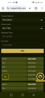 Screenshot_20251013-132137.png
