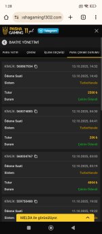 Screenshot_2025-10-14-01-28-26-604_com.android.chrome.jpg