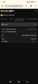 Screenshot_2025-10-14-22-06-49-428_com.android.chrome.jpg