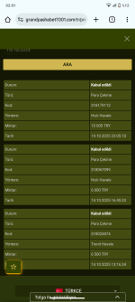 Screenshot_20251015-020154.png
