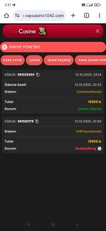 Screenshot_2025-10-16-02-51-32-556_com.android.chrome.jpg