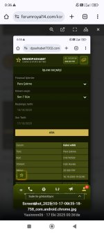 Screenshot_2025-10-17-00-36-45-935_com.android.chrome.jpg