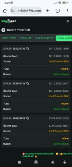 Screenshot_2025-10-20-13-29-45-322_com.android.chrome.jpg