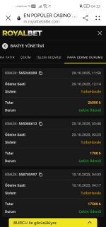 Screenshot_20251021_043343_com.huawei.browser.jpg