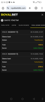 Screenshot_20251020-221048.png